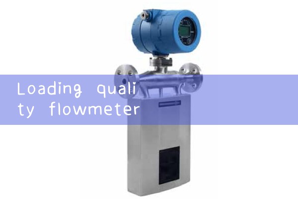 Loading quality flowmeter manufacturer